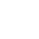 Icono